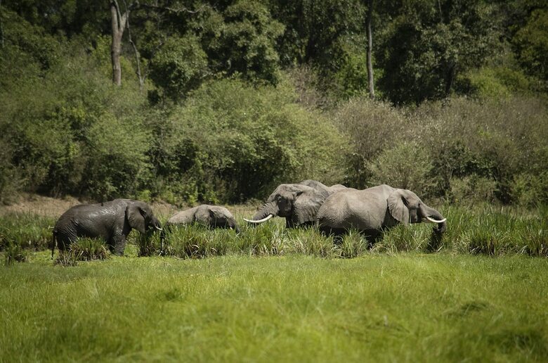 Little Governors Camp