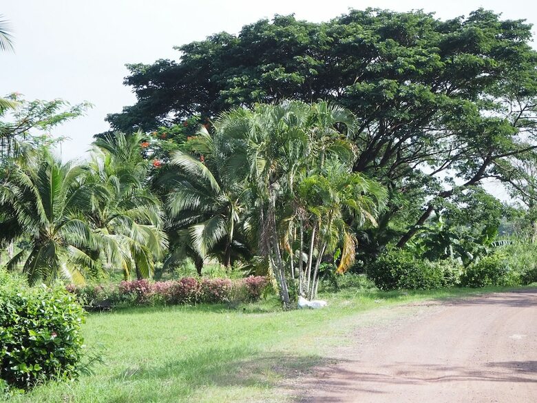 Hotel Goldenland Resort