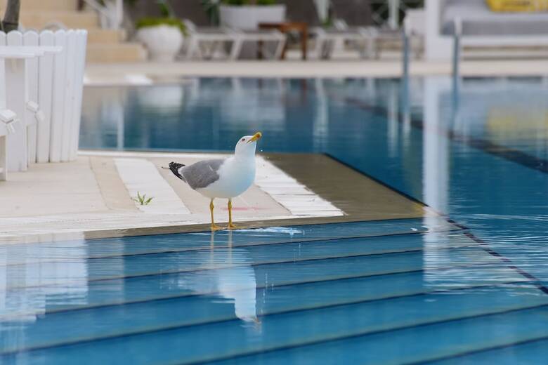 Hotel Mark Warner Phokaia Beach Resort