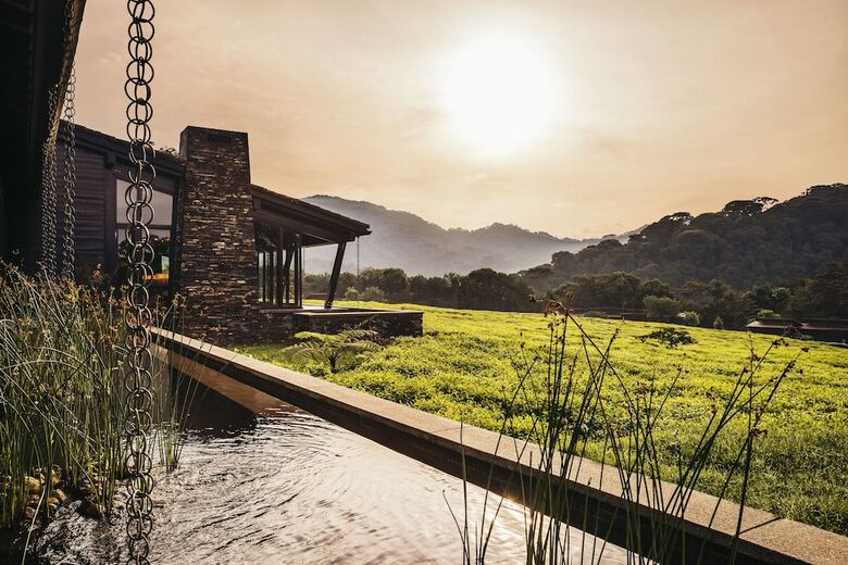Hotel One&only Nyungwe House