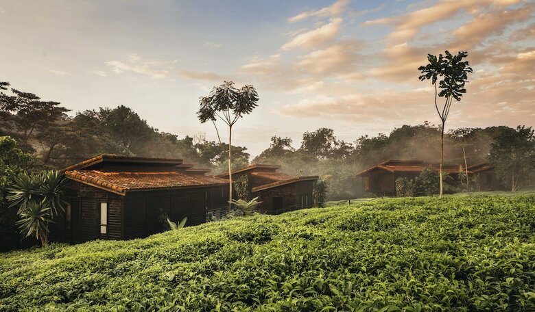 Hotel One&only Nyungwe House