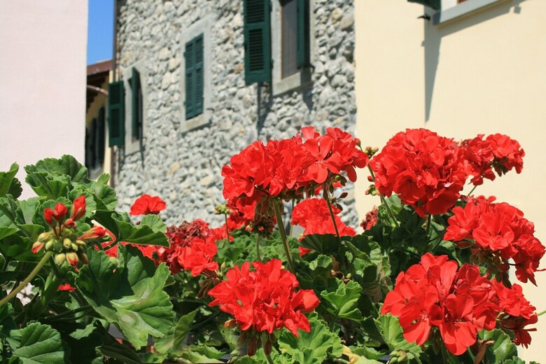 Posada Ponte Del Vegnuti