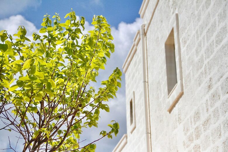 Bed & Breakfast Masseriola Antiche Fogge