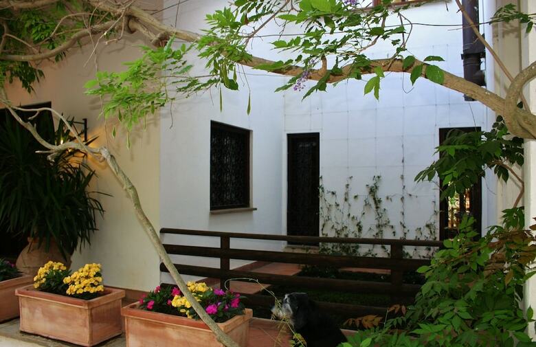 Green Oasis B&B