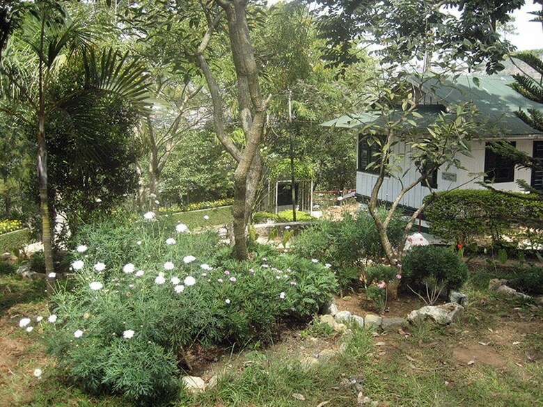 Hotel Pine Breeze Cottages