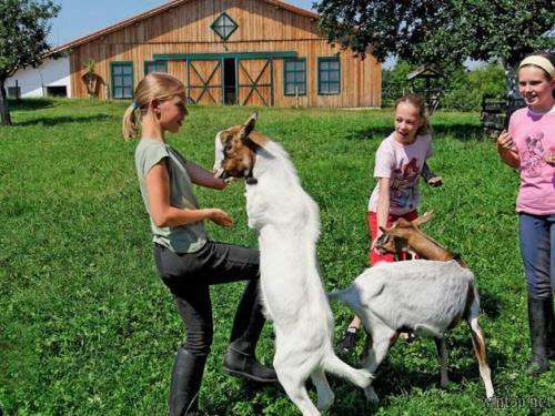 Agroturismo Bauernhof Wenzl