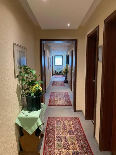 Hostal Pension Erna