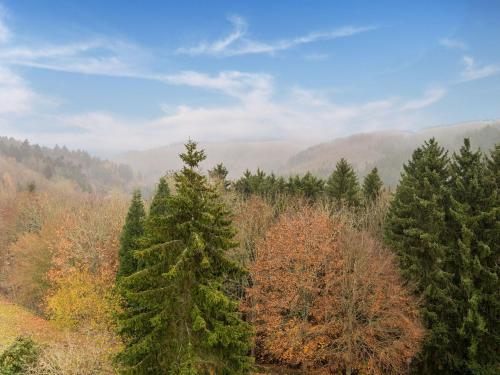 Beautiful Apartment In Reifferscheid With Wellness Oasis