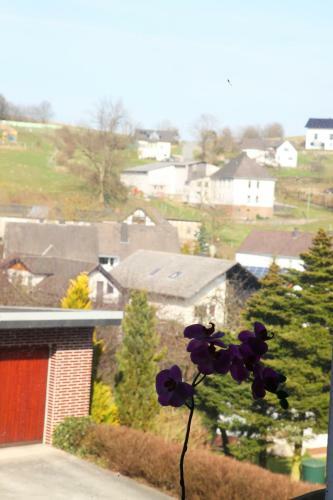 Bed & Breakfast Bollerberg