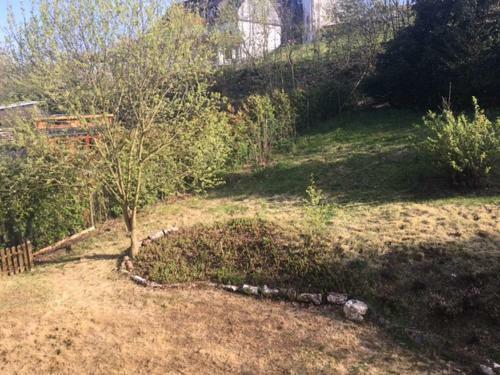 Bed & Breakfast Bollerberg