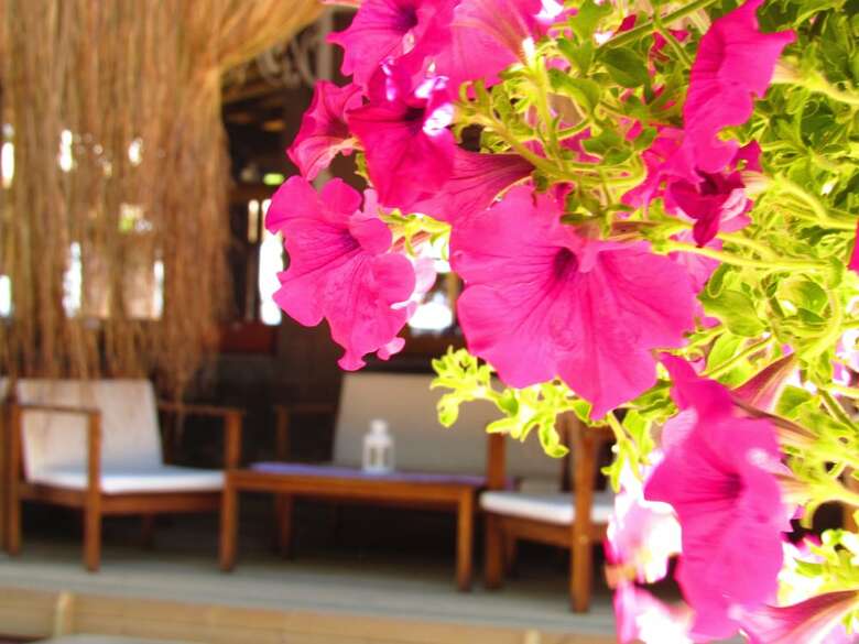 Assos Hunters Hotel