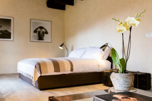 Bed & Breakfast Cascina San Vito