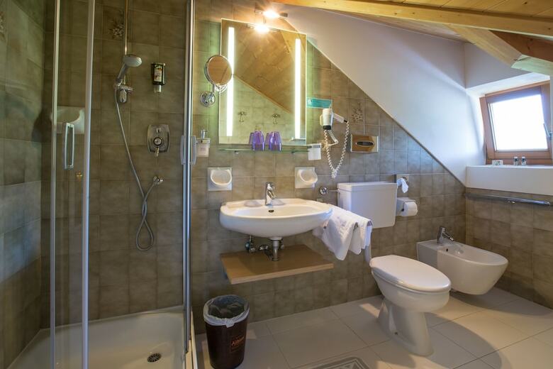 Hotel Mountain Spa Resort Albion