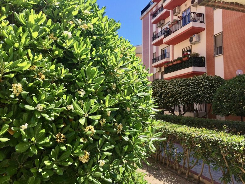 Bed & Breakfast Bnb Sea Sardinia