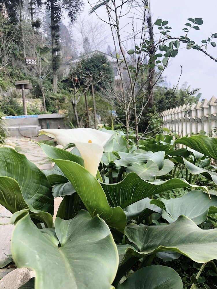 Hotel Catcat Garden House