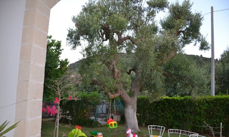 Bed & Breakfast Masseria Fragnale