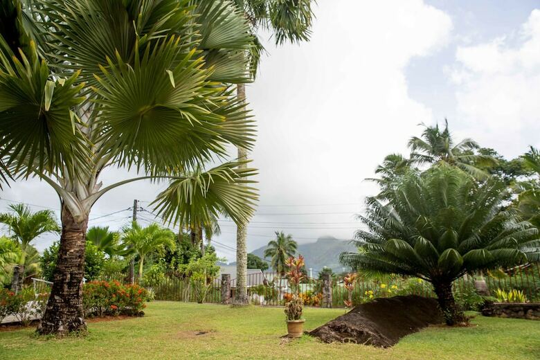Hotel The Orchard Self-catering Villa