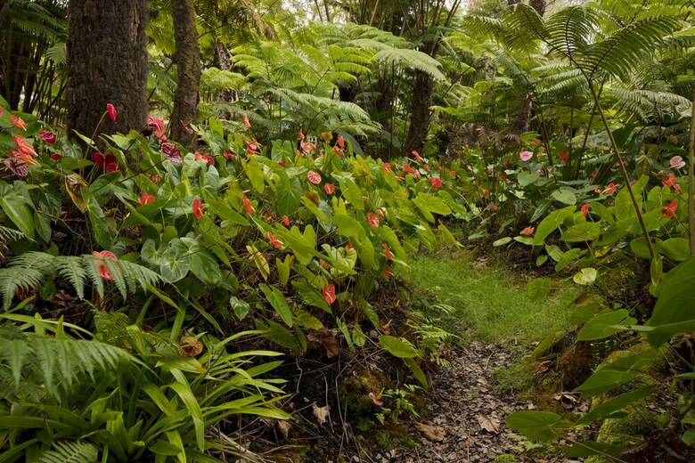 Hale 'ohu Bed & Breakfast