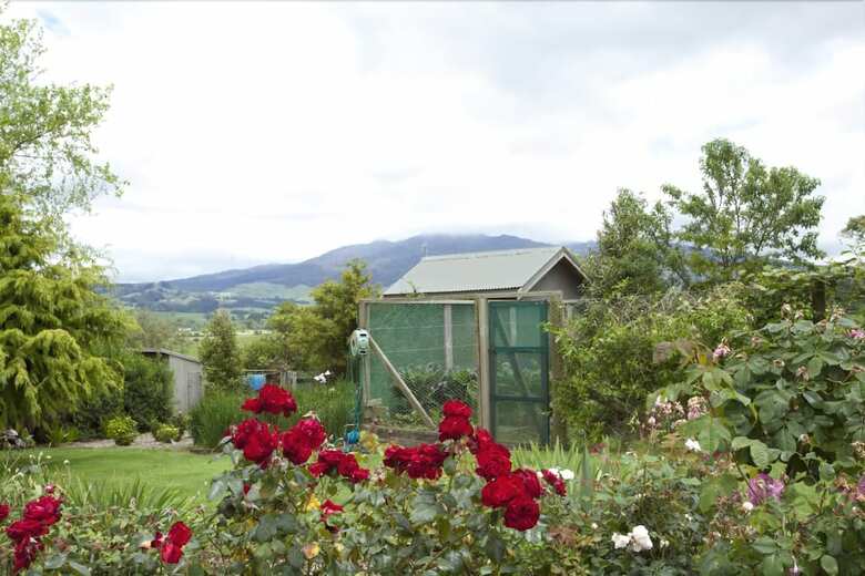 Highgate Bed And Breakfast & Garden