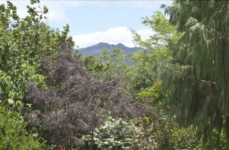 Highgate Bed And Breakfast & Garden