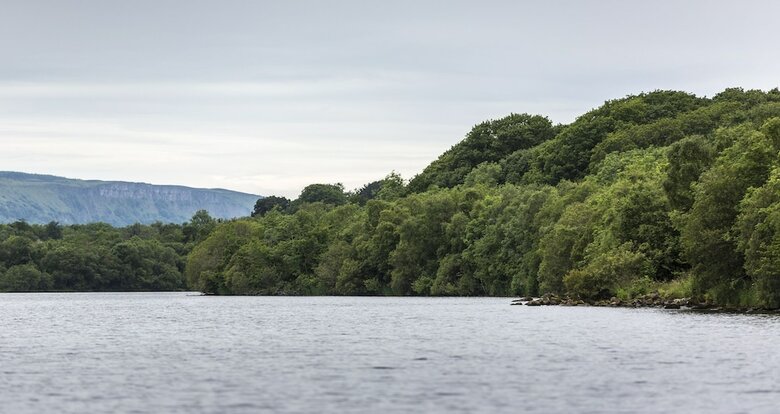 Apartamento Lusty Beg Island