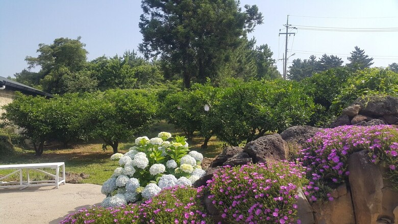 Pension Jeju Meomuri