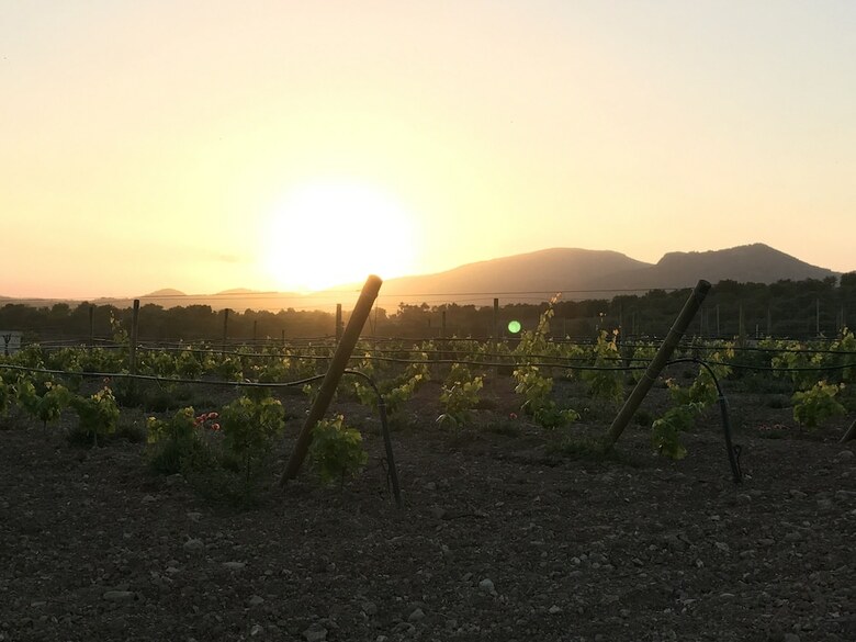Agroturismo Ca Na Nina