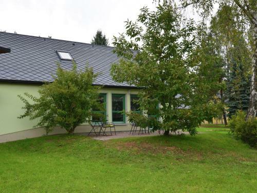 Elite Apartment In Reinhardtsdorf-schona With Terrace