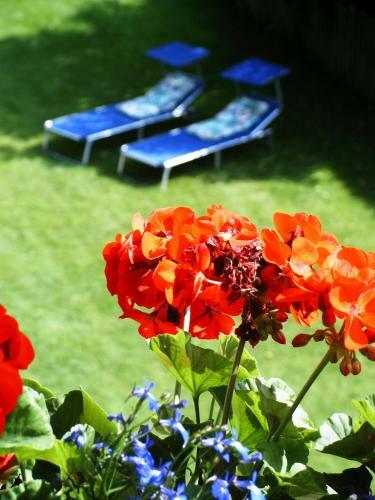 Apartamentos Ferienwohnungen Maria