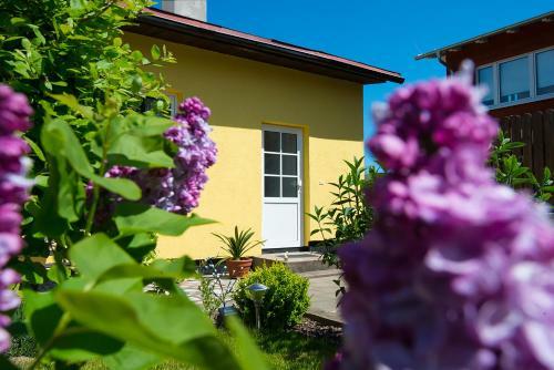 Ferien Apartments K�hlungsborn