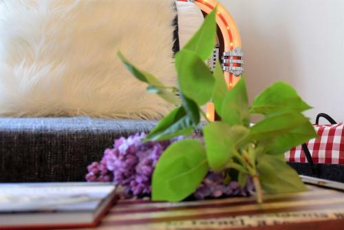 Ferien Apartments K�hlungsborn