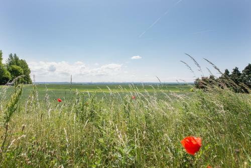 Hostal Hotel-pension Seeblick