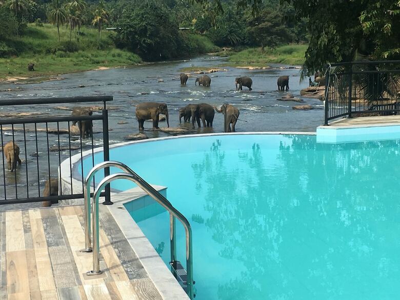 Hotel Elephant Bay
