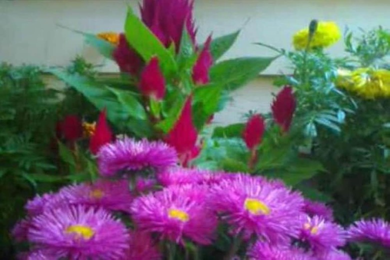 Hotel Kathmandu Peace Guest House