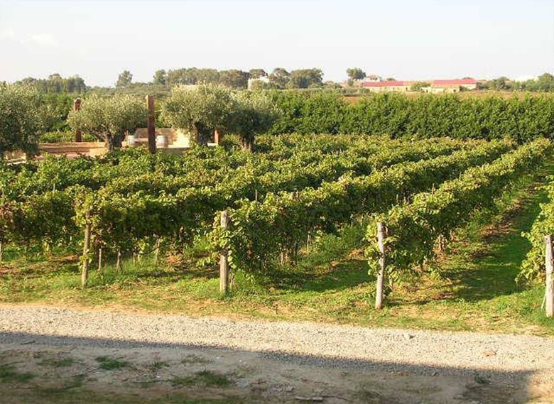 Posada Fattoria Il Borghetto