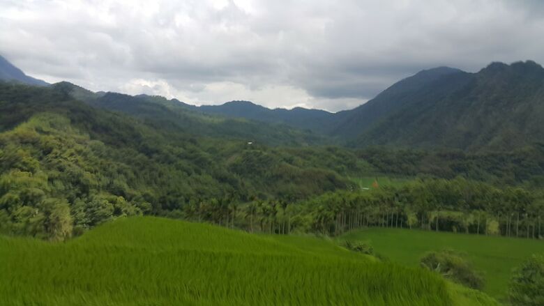 Bed & Breakfast Hualien Pine