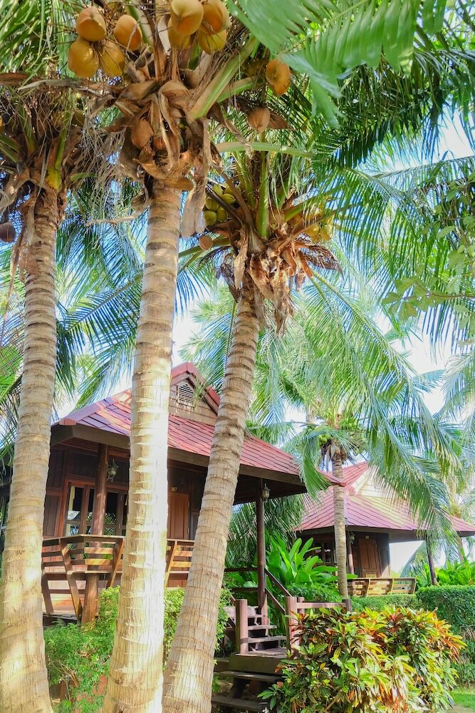 Hotel Naya Resort