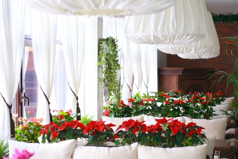 Garden Spa Hotel
