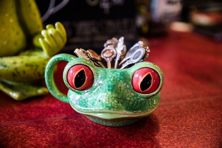 Hostal The Pickled Frog