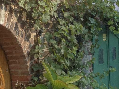 Hostal Altes F�hrhaus Cochem