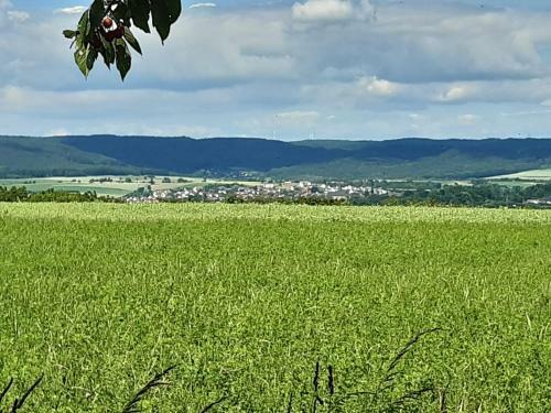Apartamento Sterne-ferienwohnung-apartment Regnitztal