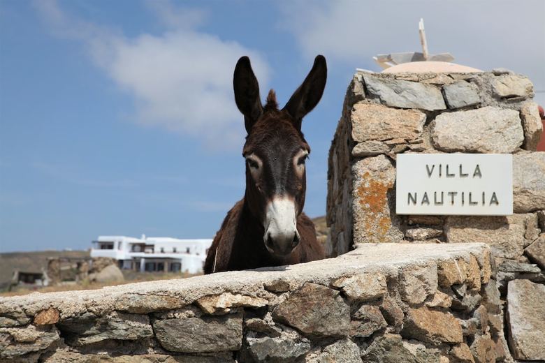 Hotel Villa Nautilia