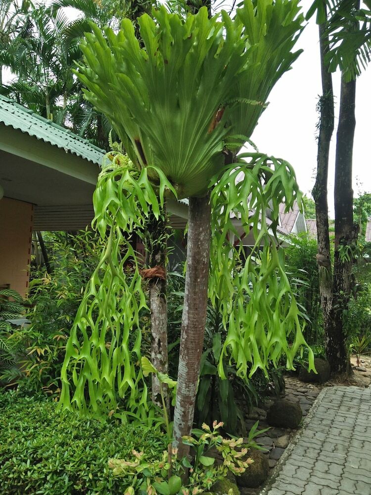 Hotel Khaolak Tusneem Resort
