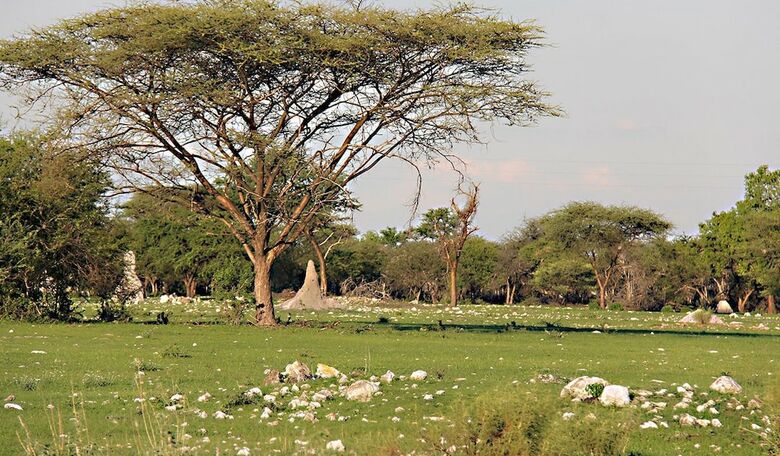 Posada Fiume Lodge & Game Farm
