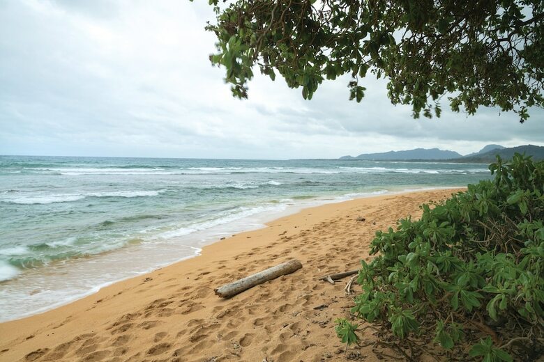 Hotel Kauai Coast At The Beachboy