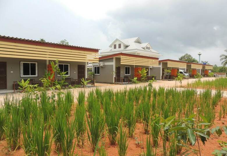 Hotel Banana Lodge