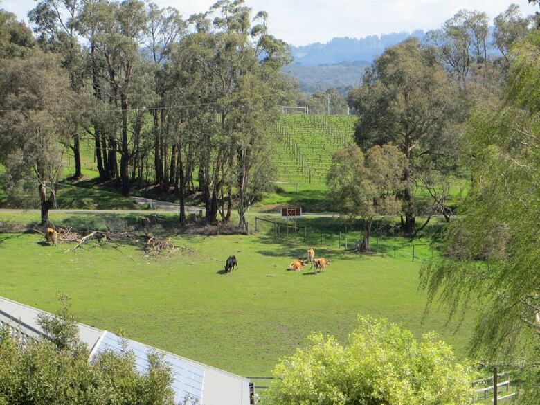 Bed & Breakfast Honeyeater Cottage
