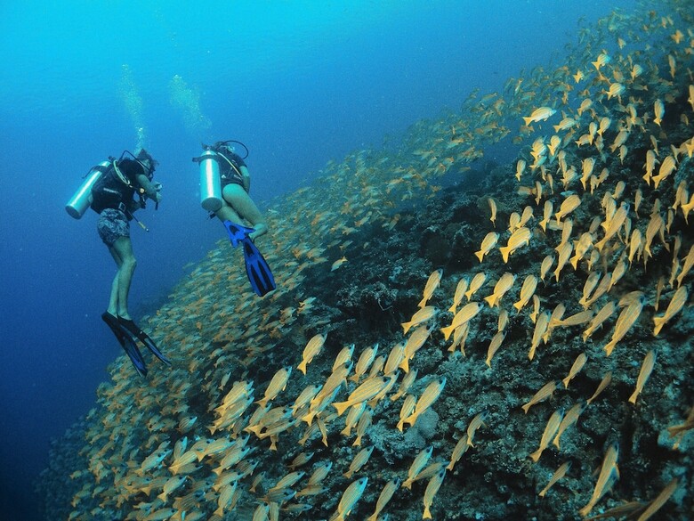 Hotel Bliss Dhigurah