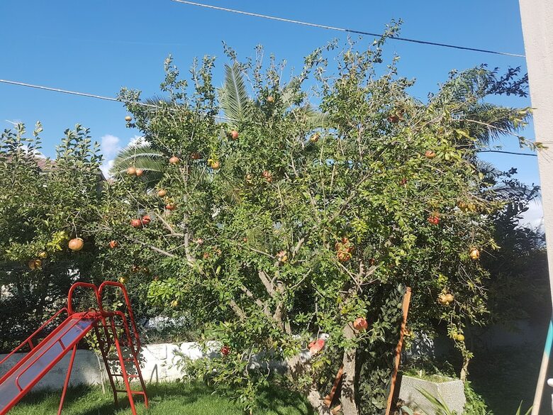 B&B Magna Grecia