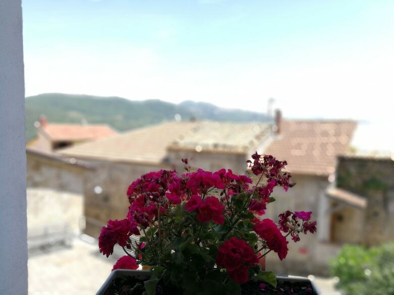Apartamento Casancestrale Residenze D'incanto 1828